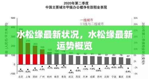 水松缘最新状况与运势概览
