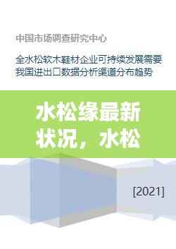 水松缘最新状况与运势概览