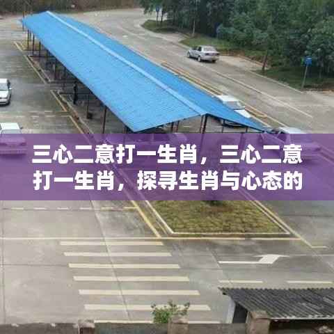 三心二意探寻生肖与心态的奥秘之谜