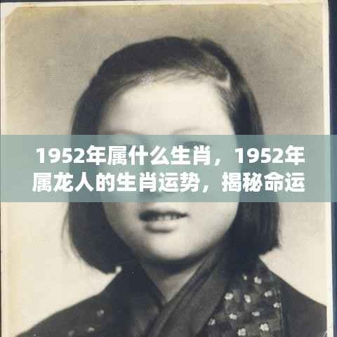 揭秘1952年属龙人的生肖运势与命运轨迹,洞悉人生起伏