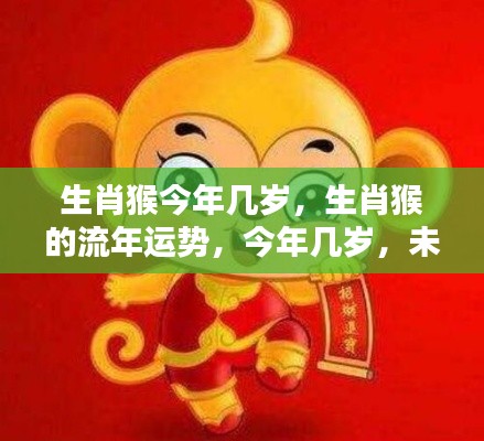 生肖猴的流年运势解析,年龄、未来展望与运势走向揭秘!