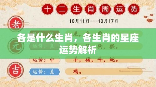 生肖与星座运势解析,探索生肖与星座的奥秘