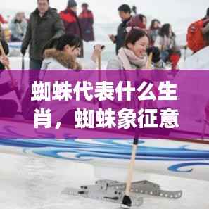 蜘蛛象征意义下的生肖解读,神秘生物揭示生肖奥秘