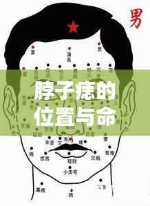 脖子痣的位置与命运图解,痣相揭示人生轨迹之谜