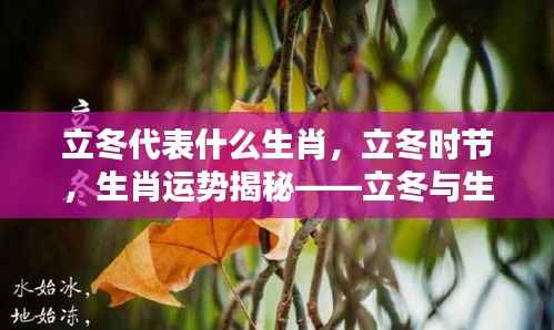 立冬与生肖,揭秘生肖运势与奇妙关联的奥秘