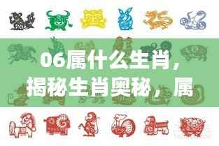 揭秘生肖奥秘,揭秘属虎人在生肖虎背后的故事与运势解析(出生于2006年)