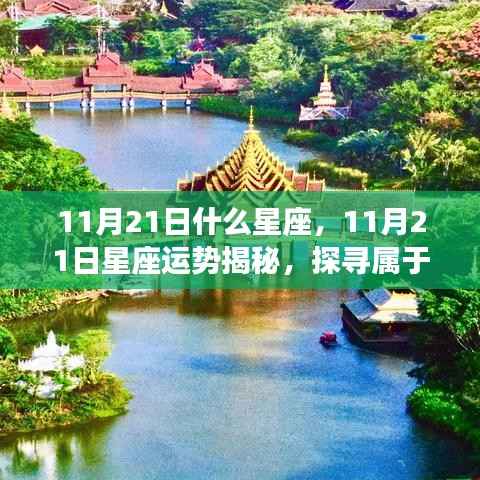 料事如神 第4页