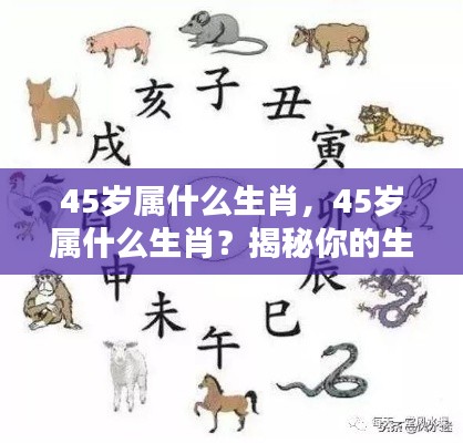 揭秘,45岁属何种生肖?生肖运势与人生轨迹一览无余。