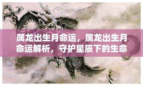 属龙出生月命运解析,守护星辰下的生命轨迹