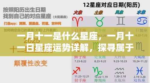 一月十一日星座运势详解与奥秘探寻,属于你的星座运势及奥秘解析