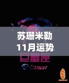 苏珊米勒11月星座运势深度解析,洞悉未来运势走向