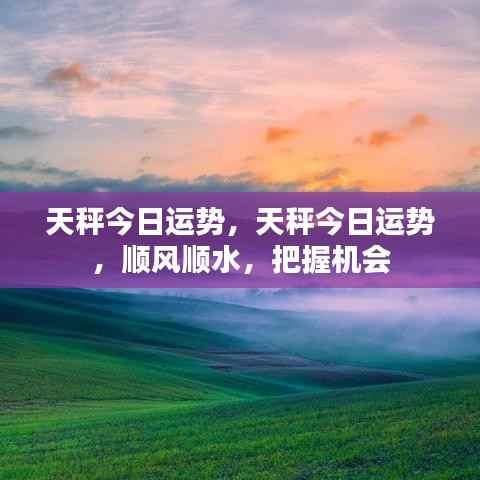 天秤今日运势顺风顺水，把握机会大揭秘