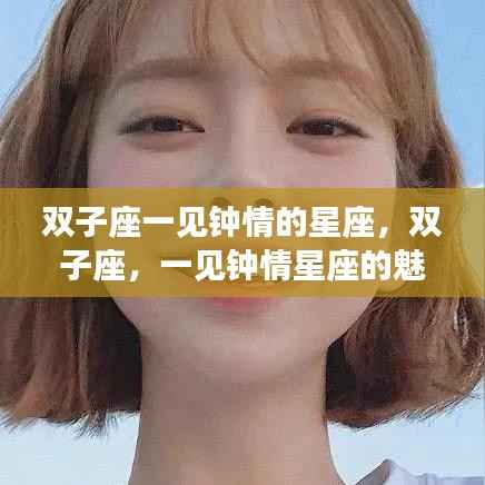 双子座魅力解析,一见钟情星座的魅力与特点解析