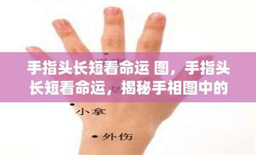 揭秘手相图之谜,手指长短与命运关联探究