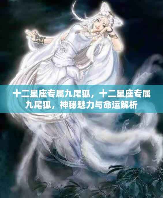 十二星座九尾狐的神秘魅力与命运解析