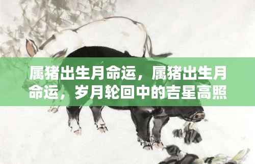 岁月轮回中的吉星高照,属猪出生月命运解析
