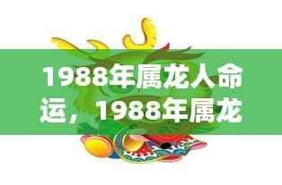 星辰指引下的辉煌人生,揭秘1988年属龙人的命运之路