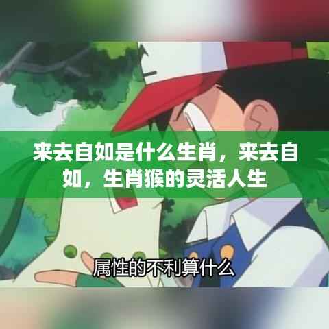 来去自如,生肖猴的灵活人生探索