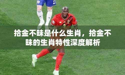 揭秘拾金不昧背后的生肖特性,深度解析生肖与品质的关联