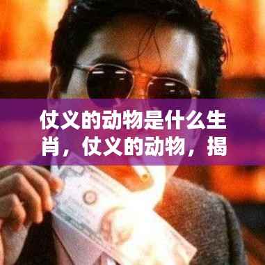 揭秘生肖中的英雄本色,仗义动物的神秘面纱