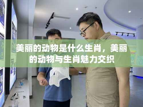 生肖魅力与美丽动物的交织