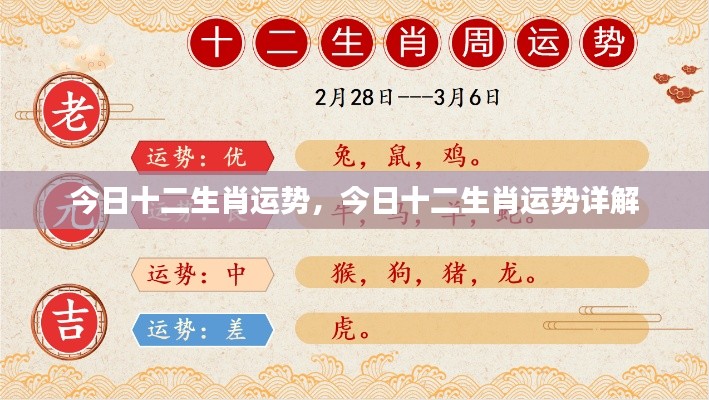 今日十二生肖运势详解,全面解析十二生肖运势特点与运势变化