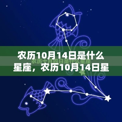 农历10月14日星座运势解密,探寻属于你的星辰轨迹