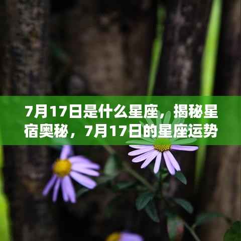 揭秘星宿奥秘,7月17日的星座运势解析及星座归属