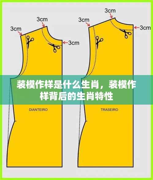 装模作样背后的生肖特性,解读生肖与行为表现