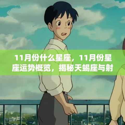 揭秘十一月星座运势,天蝎座与射手座的闪耀概览