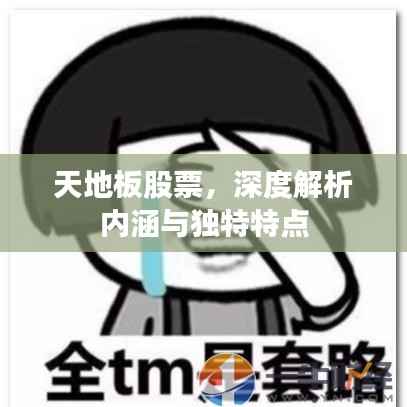 天地板股票,深度解析内涵与独特特点