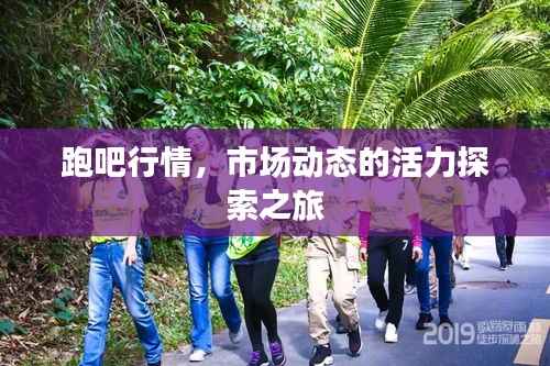 跑吧行情,市场动态的活力探索之旅