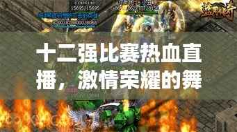 十二强比赛热血直播,激情荣耀的舞台展现