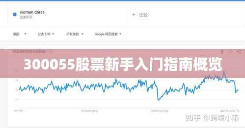 300055股票新手入门指南概览