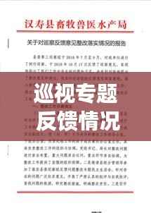 巡视专题 反馈情况,巡视反馈问题整改情况汇报材料