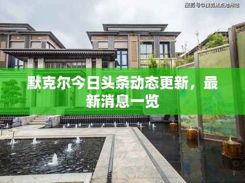 默克尔今日头条动态更新,最新消息一览