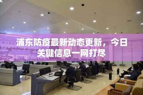 浦东防疫最新动态更新,今日关键信息一网打尽
