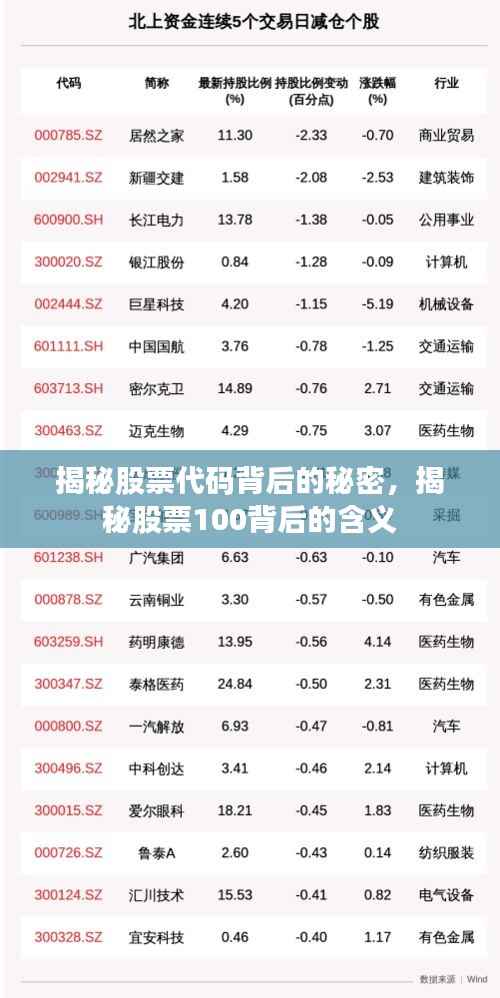 揭秘股票代码背后的秘密,揭秘股票100背后的含义
