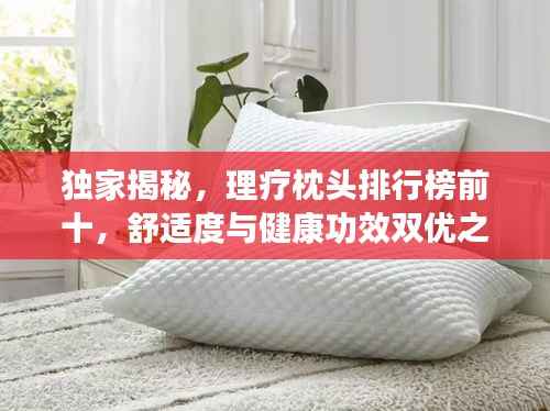 独家揭秘,理疗枕头排行榜前十,舒适度与健康功效双优之选!