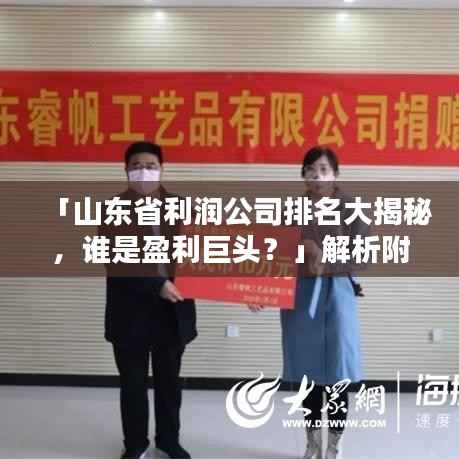「山东省利润公司排名大揭秘,谁是盈利巨头?」解析附后