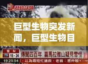 风流倜傥 第3页