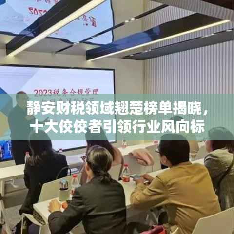 静安财税领域翘楚榜单揭晓,十大佼佼者引领行业风向标