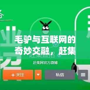 毛驴与互联网的奇妙交融,赶集网广告背后的故事