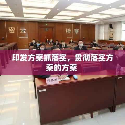 印发方案抓落实,贯彻落实方案的方案
