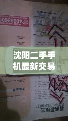纲举目张 第3页