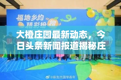 大橙庄园最新动态,今日头条新闻报道揭秘庄园新篇章