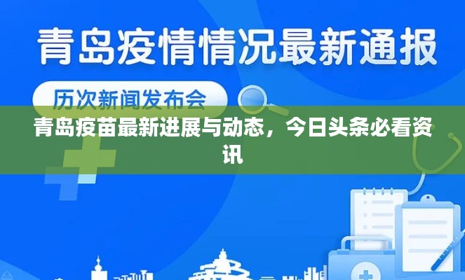 青岛疫苗最新进展与动态,今日头条必看资讯