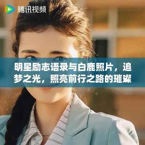 明星励志语录与白鹿照片,追梦之光,照亮前行之路的璀璨星辰