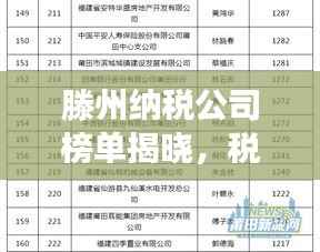 滕州纳税公司榜单揭晓,税收助力城市蓬勃发展