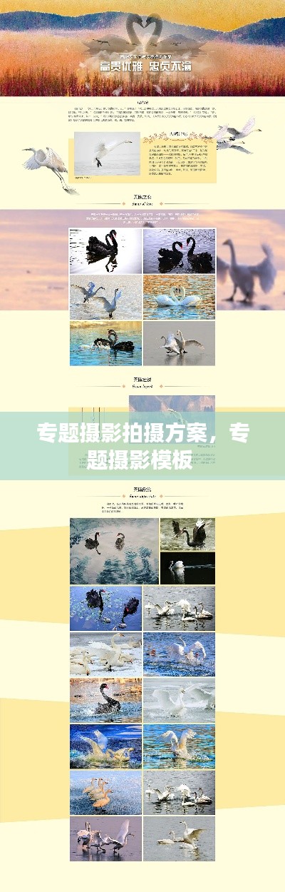 差强人意 第3页